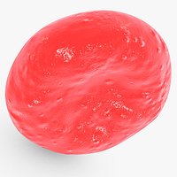 Erythrocyte