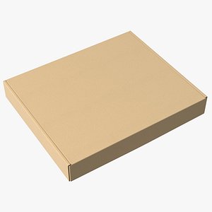 Cardboard Closed Flat Box 3D model