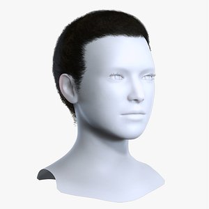 Realistic Black Afro Textured Short Tapered Hairstyle 3D Asset 3D model