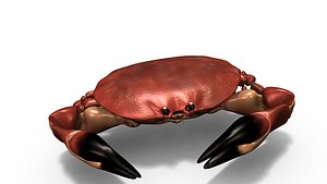Crab