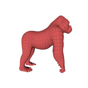 Gorilla base mesh