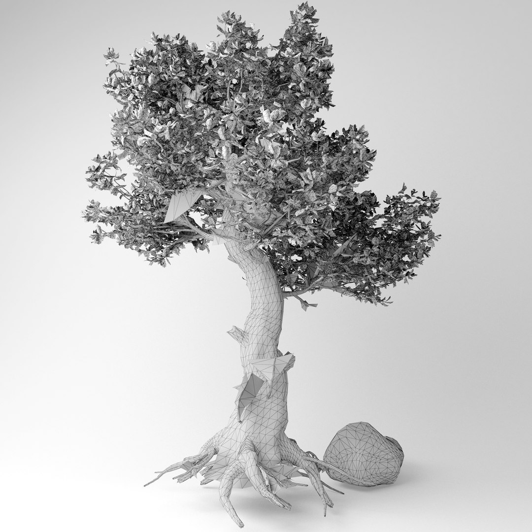 3D old tree https://p.turbosquid.com/ts-thumb/zY/jivg7y/AjnLOJrL/5/jpg/1583934337/1920x1080/fit_q87/81341161f2e98386ab8c3758911cfccabb172e63/5.jpg
