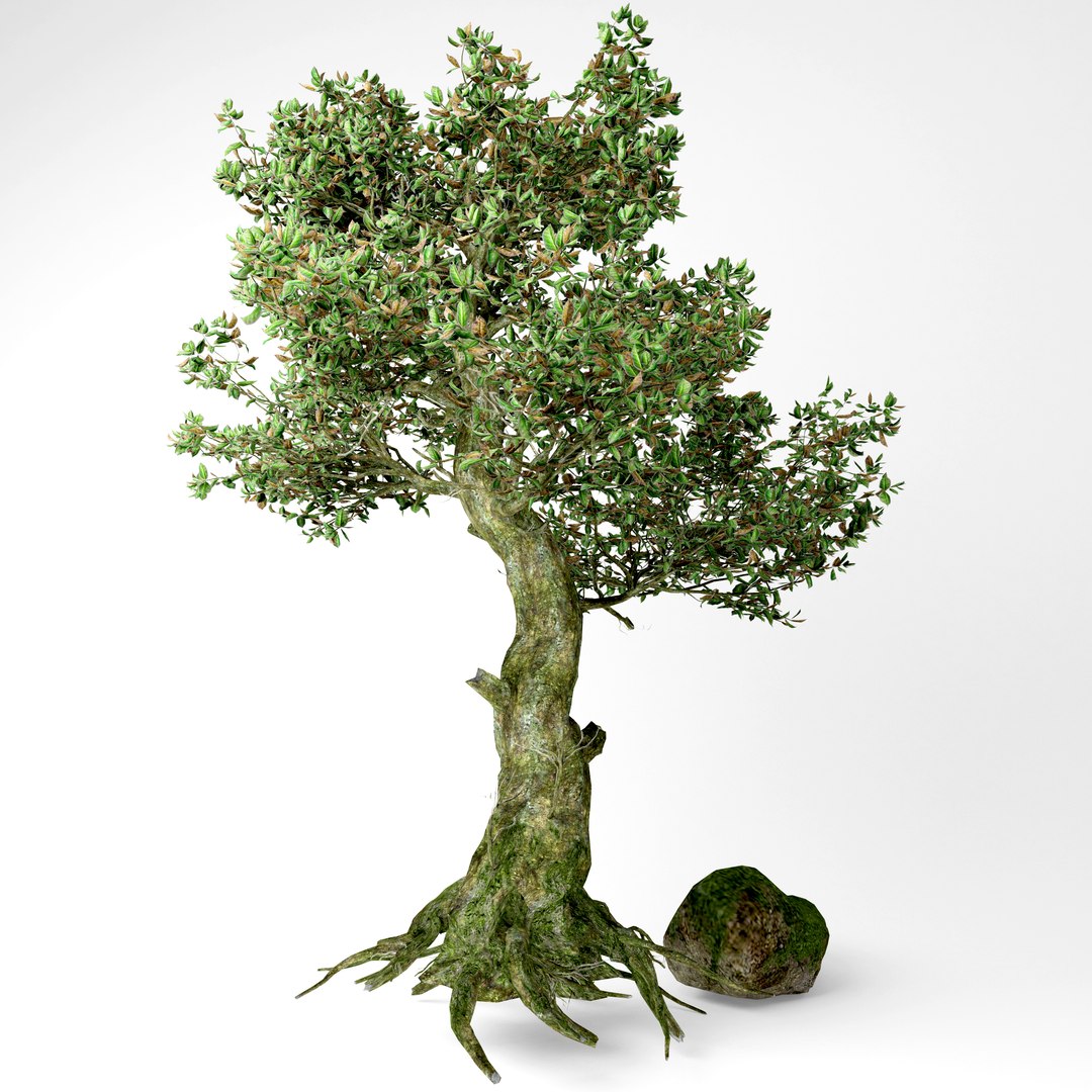 3D old tree https://p.turbosquid.com/ts-thumb/zY/jivg7y/xDgCVPSQ/4/jpg/1583934282/1920x1080/fit_q87/ebf621d93971ba2202f33a62472cd34c2dcc967a/4.jpg