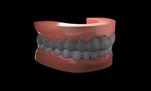 Tooth 3D model