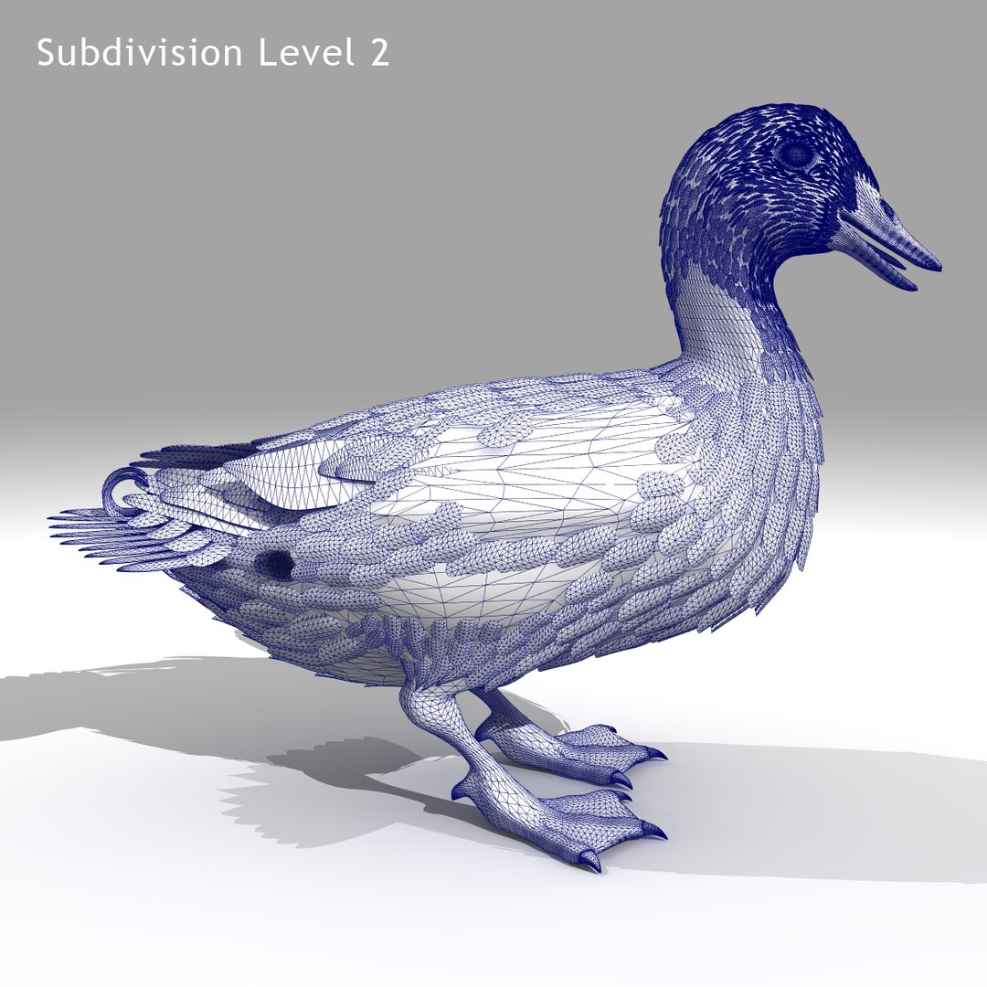 Mallard duck 3D - TurboSquid 1179386