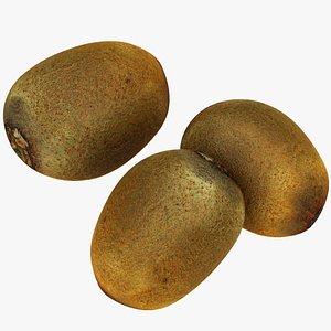 3D kiwi fruit food