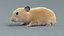 Hamster Rigged Xgen 3D model