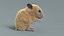 Hamster Rigged Xgen 3D model