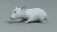 Hamster Rigged Xgen 3D model