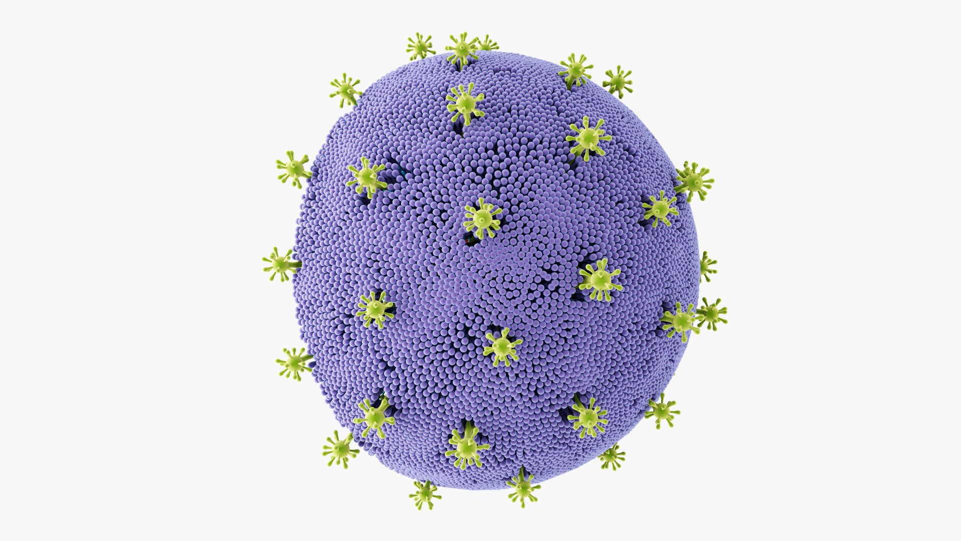 3d Hiv Cell Structure Turbosquid 2243584