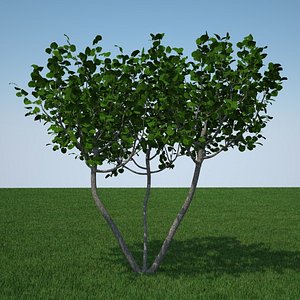 flowers tree fbx