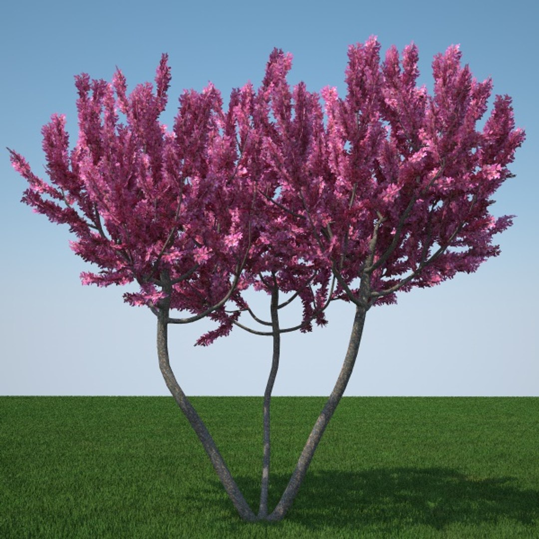 Flowers Tree Fbx