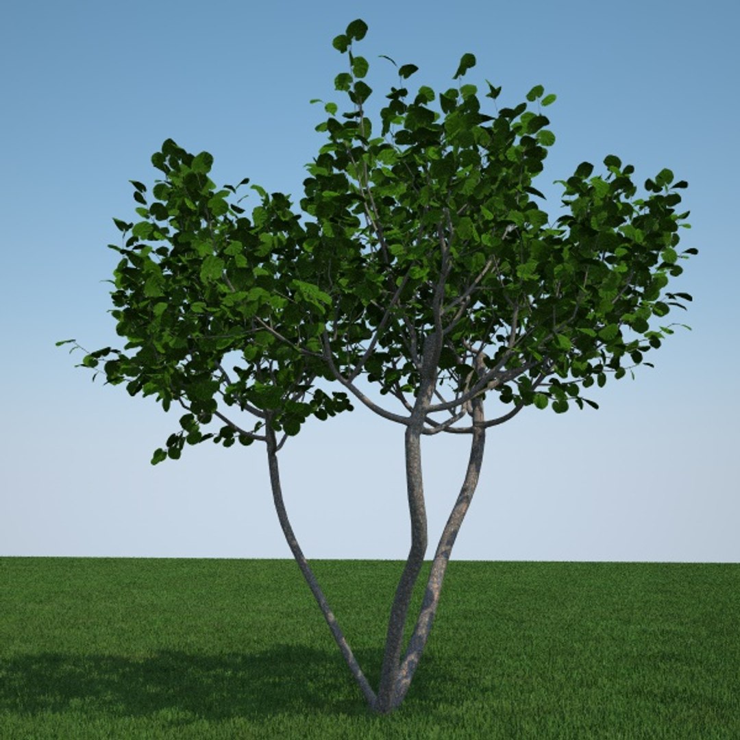 Flowers Tree Fbx