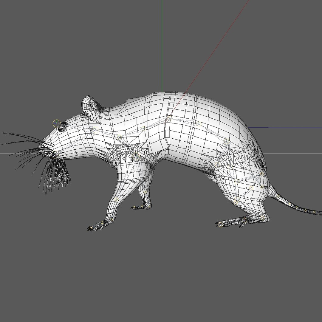 3d model running brown mouse animations