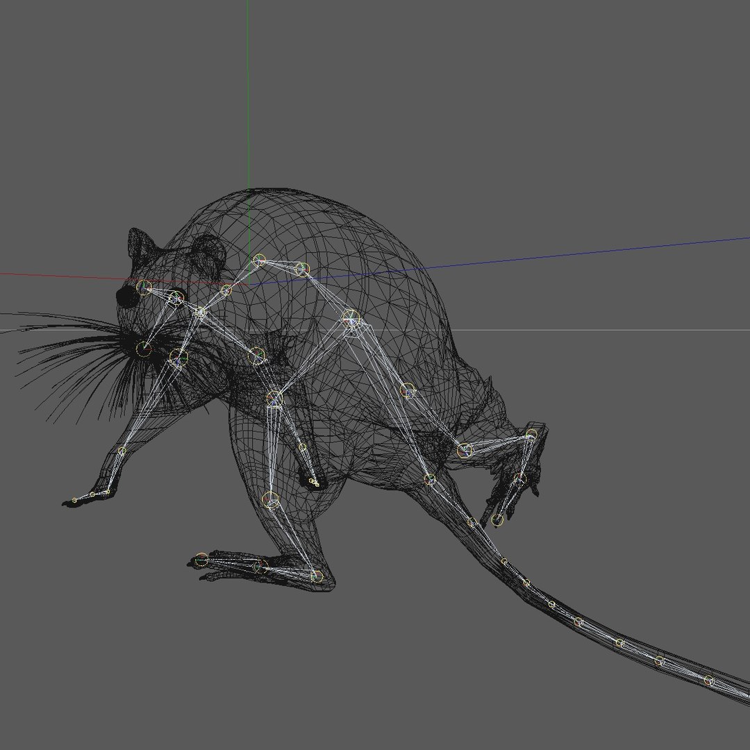 3d model running brown mouse animations