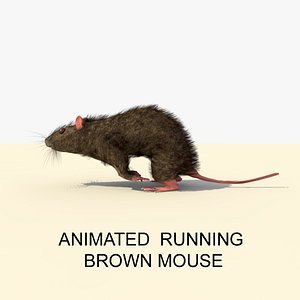 3d model running brown mouse animations