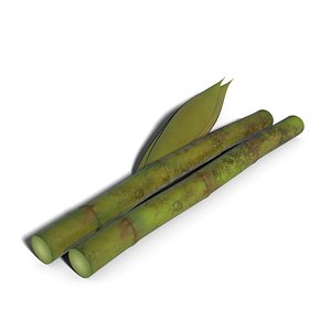 Sugarcane