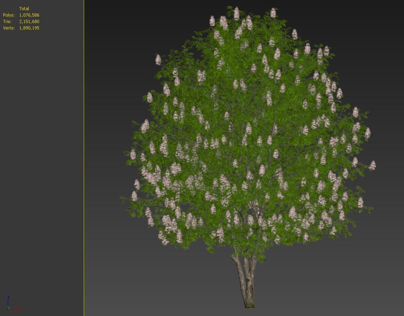 Chestnut tree 3D - TurboSquid 1937762