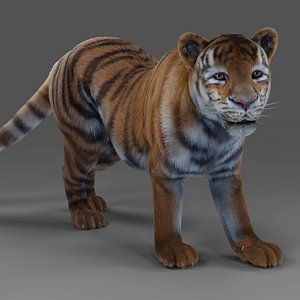 Fur Tiger Rigged Animation in Blender Unity