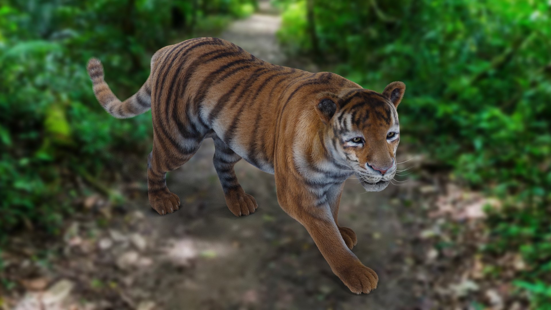 3D Model Fur Tiger Rigged Animation In Blender Unity - TurboSquid 2093929
