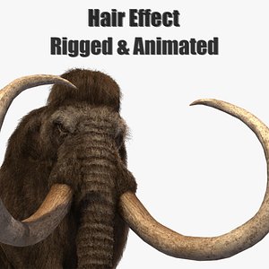 3D mammoth elephant tusk
