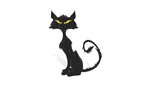 Black cat