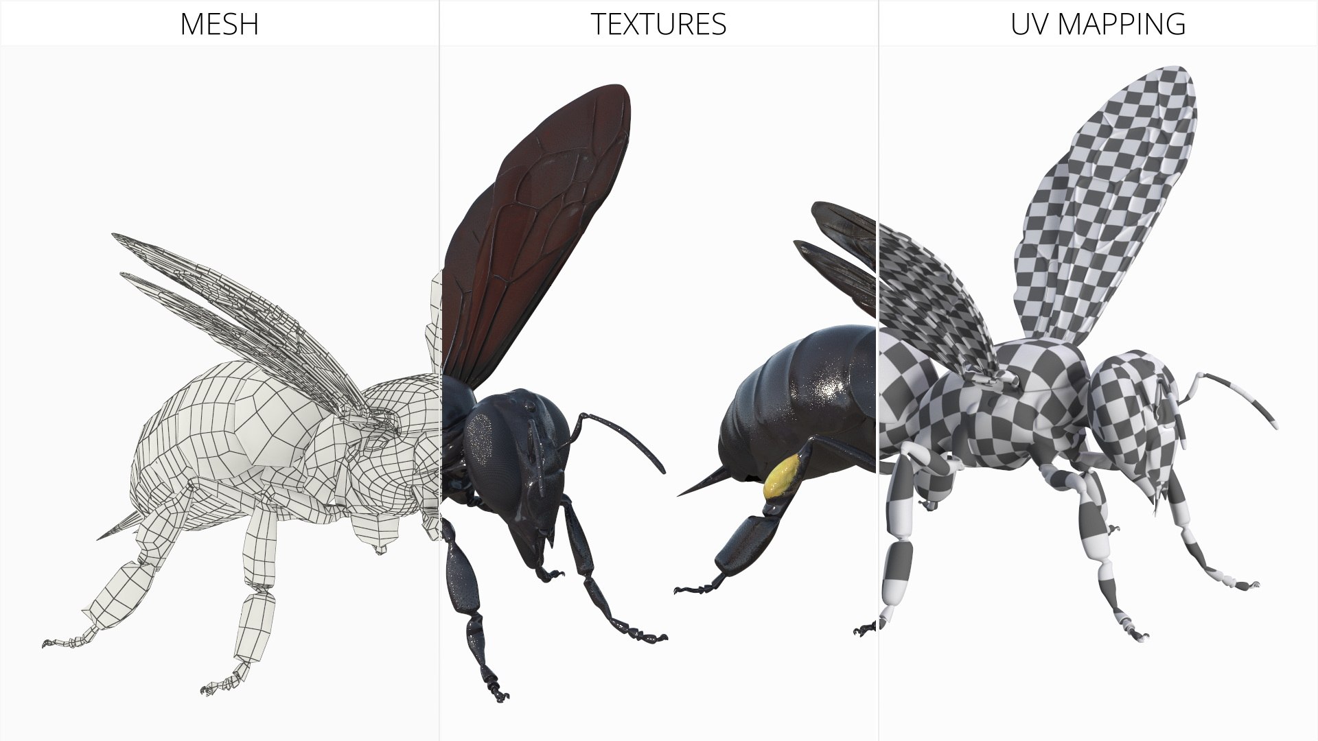Black Bee 3D https://p.turbosquid.com/ts-thumb/zb/3gpwSq/nB/black_bee_009/jpg/1756439342/1920x1080/fit_q87/5c00f07dfb9ef9793d9fa09efe1a62b8fb2e37db/black_bee_009.jpg