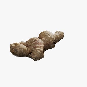 3D model Anydrafts Ginger 09