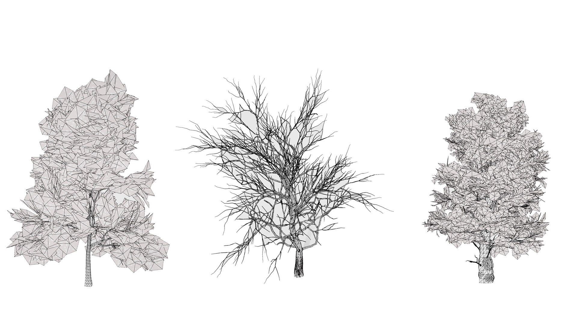 American Sycamore Tree 3D Model Collection 3D model https://p.turbosquid.com/ts-thumb/zb/HcSLRu/2J/wirel/jpg/1781377467/1920x1080/fit_q87/9e7047ab2664dceffafe0ae07d1a5dd7a221566c/wirel.jpg