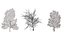 American Sycamore Tree 3D Model Collection