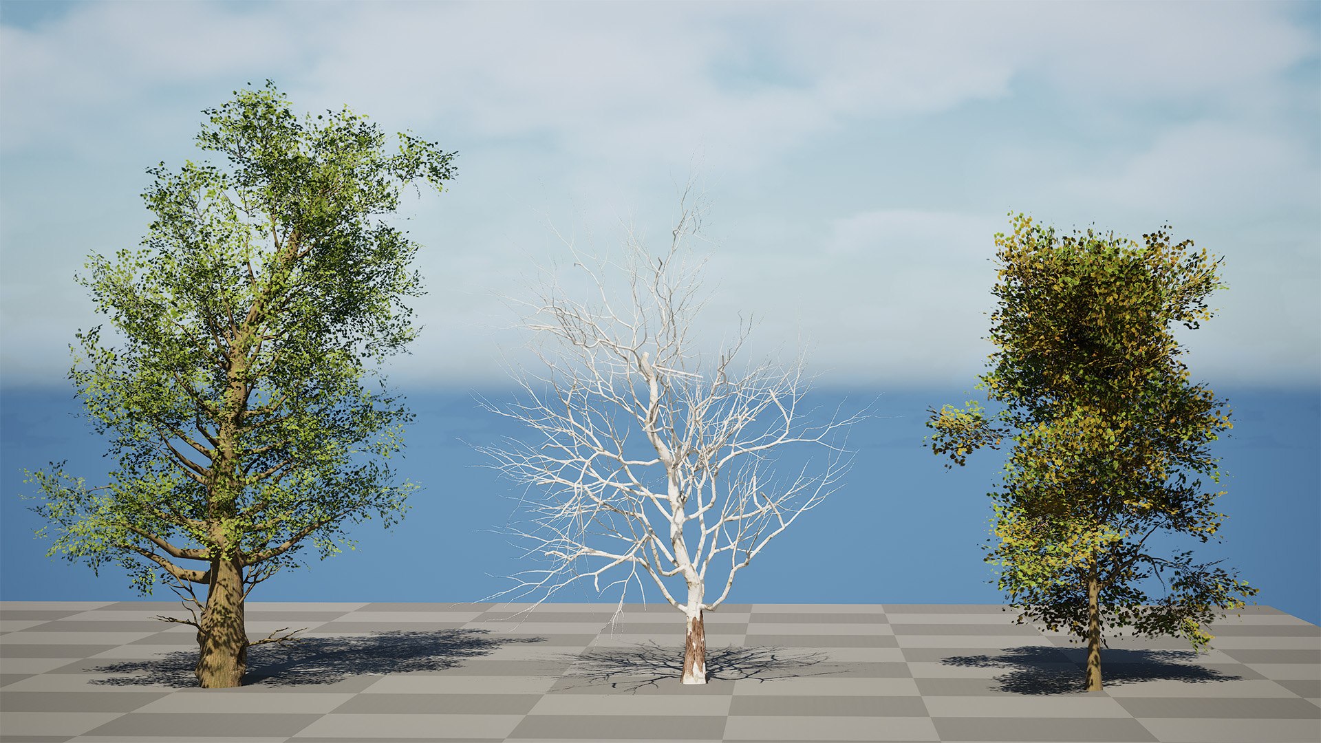 American Sycamore Tree 3D Model Collection 3D model https://p.turbosquid.com/ts-thumb/zb/HcSLRu/Oz/highresscreenshot00000/jpg/1781377466/1920x1080/fit_q87/92d4f1ea6ad4a4e9515e49367c1eb26924848e03/highresscreenshot00000.jpg