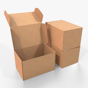 Mailer Box - Large
