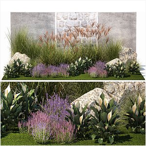 3D Garden with lavender bushes Spathiphyllum Miscanthus 1397 model