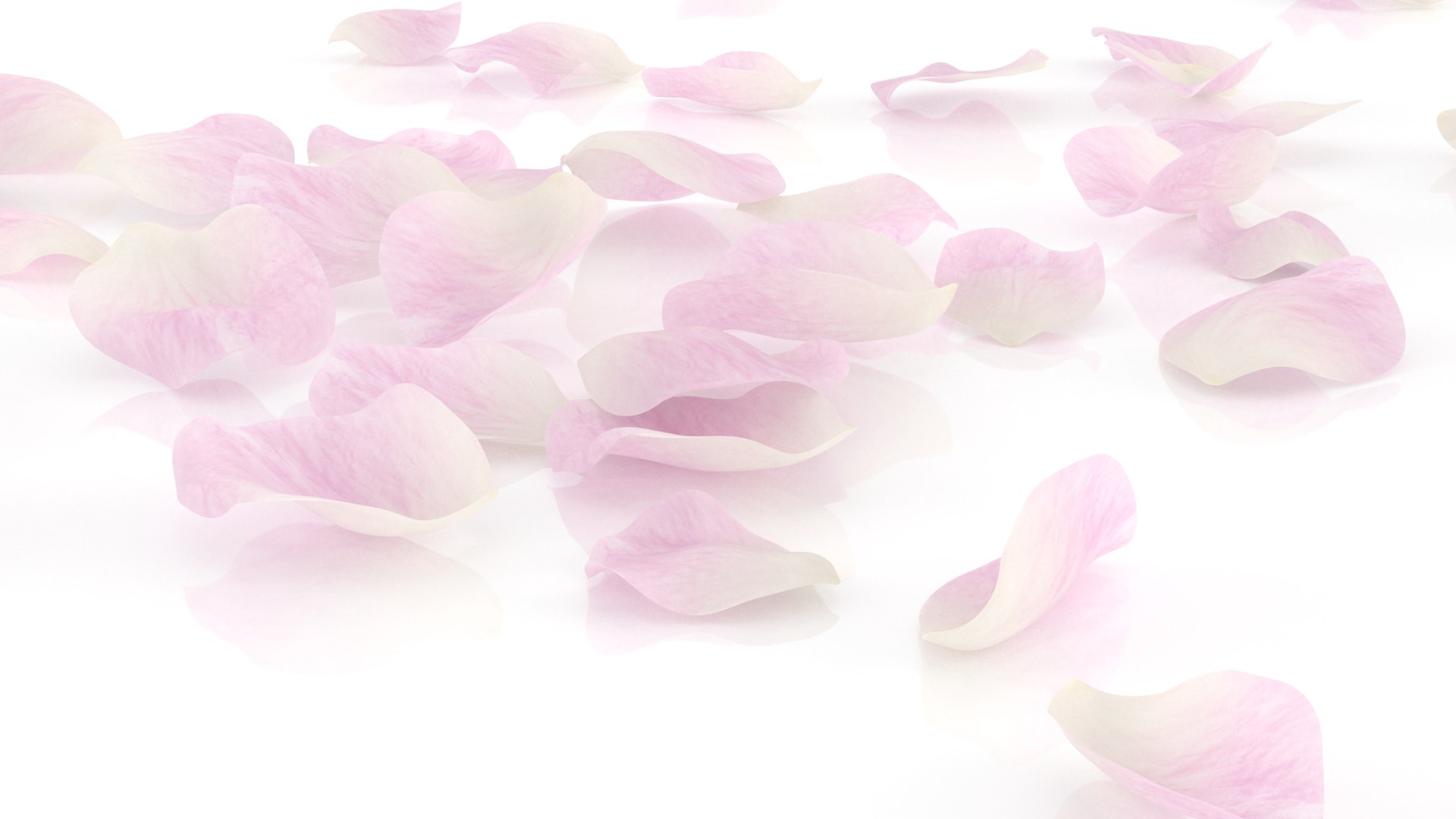 3D flower rose petal romantic - TurboSquid 1625411