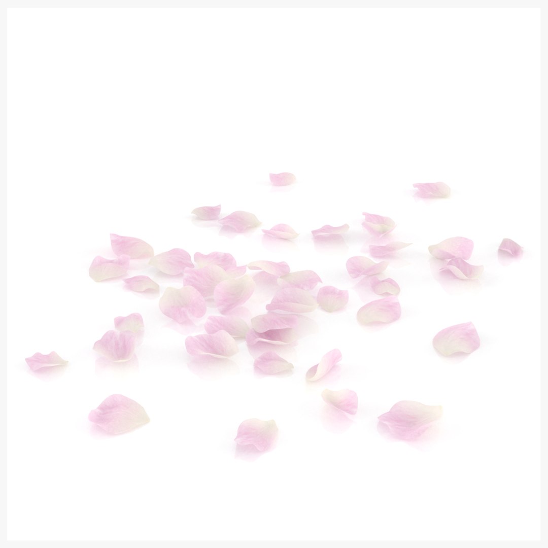 3D flower rose petal romantic https://p.turbosquid.com/ts-thumb/zb/qzcnUu/Jj/0/png/1655212666/1920x1080/fit_q87/10e165adaeed658a3658e21aee6654515932569f/0.jpg