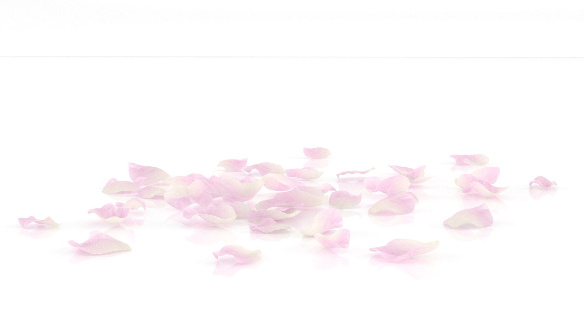 3D flower rose petal romantic https://p.turbosquid.com/ts-thumb/zb/qzcnUu/lh/4/png/1655212622/1920x1080/fit_q87/7dcc7647ff0cc872543ce15d60898ccdb448a68a/4.jpg