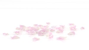 Romantic rose petals spa decor
