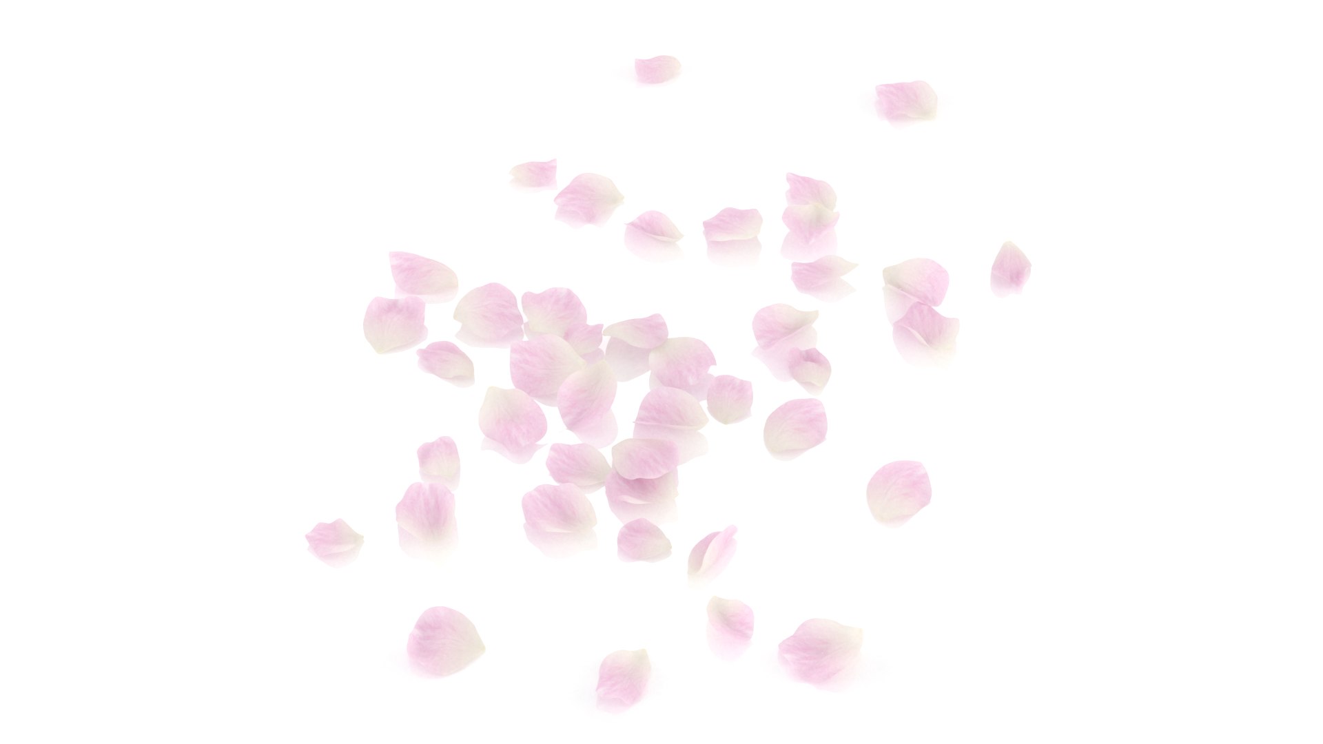 3D flower rose petal romantic https://p.turbosquid.com/ts-thumb/zb/qzcnUu/zt/5/png/1655212610/1920x1080/fit_q87/91113b5cb68c745e3c47f78a81b8d43cc821ec4e/5.jpg