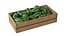Avocado Wooden Crate
