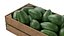 Avocado Wooden Crate