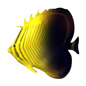 tropical fish 3d model