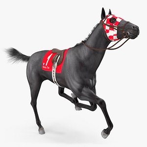 black racehorse horse fur 3D model