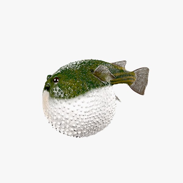 3D animals fish