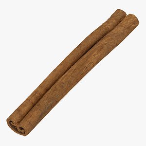 cinnamon stick 01 raw 3D