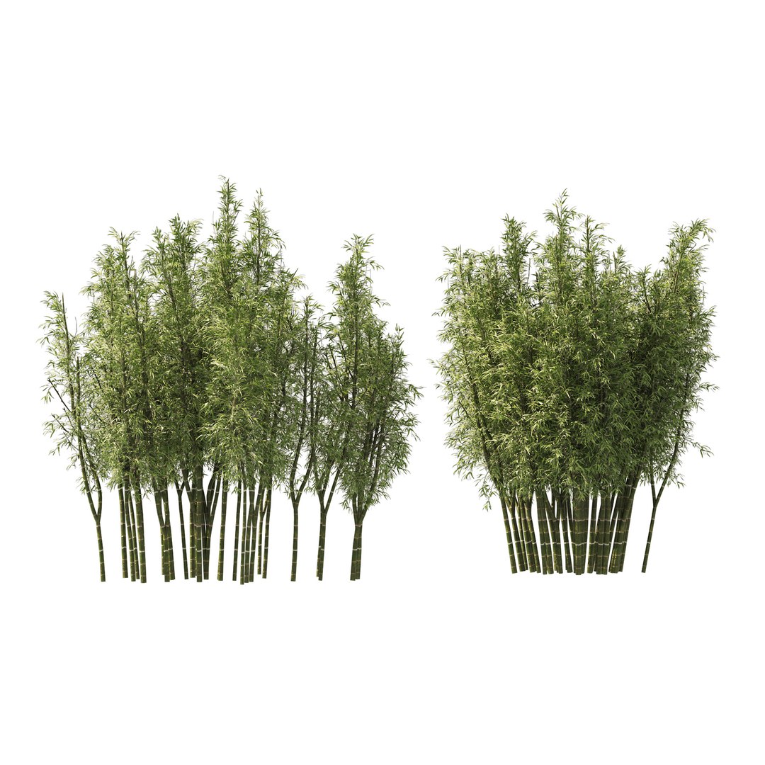 3D 2 Bamboo Clusters - TurboSquid 1900534