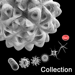 8 Simple Micro cells