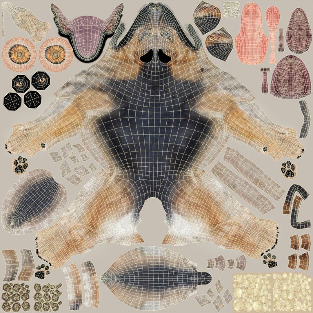 belgian shepherd dog black 3d max https://p.turbosquid.com/ts-thumb/zc/j8KJ9W/0ZtugUVN/diffuse_blacktan/jpg/1443915324/1920x1080/fit_q87/fc201809f294f3abb85bc1951c1b7344f5a2f3e8/diffuse_blacktan.jpg