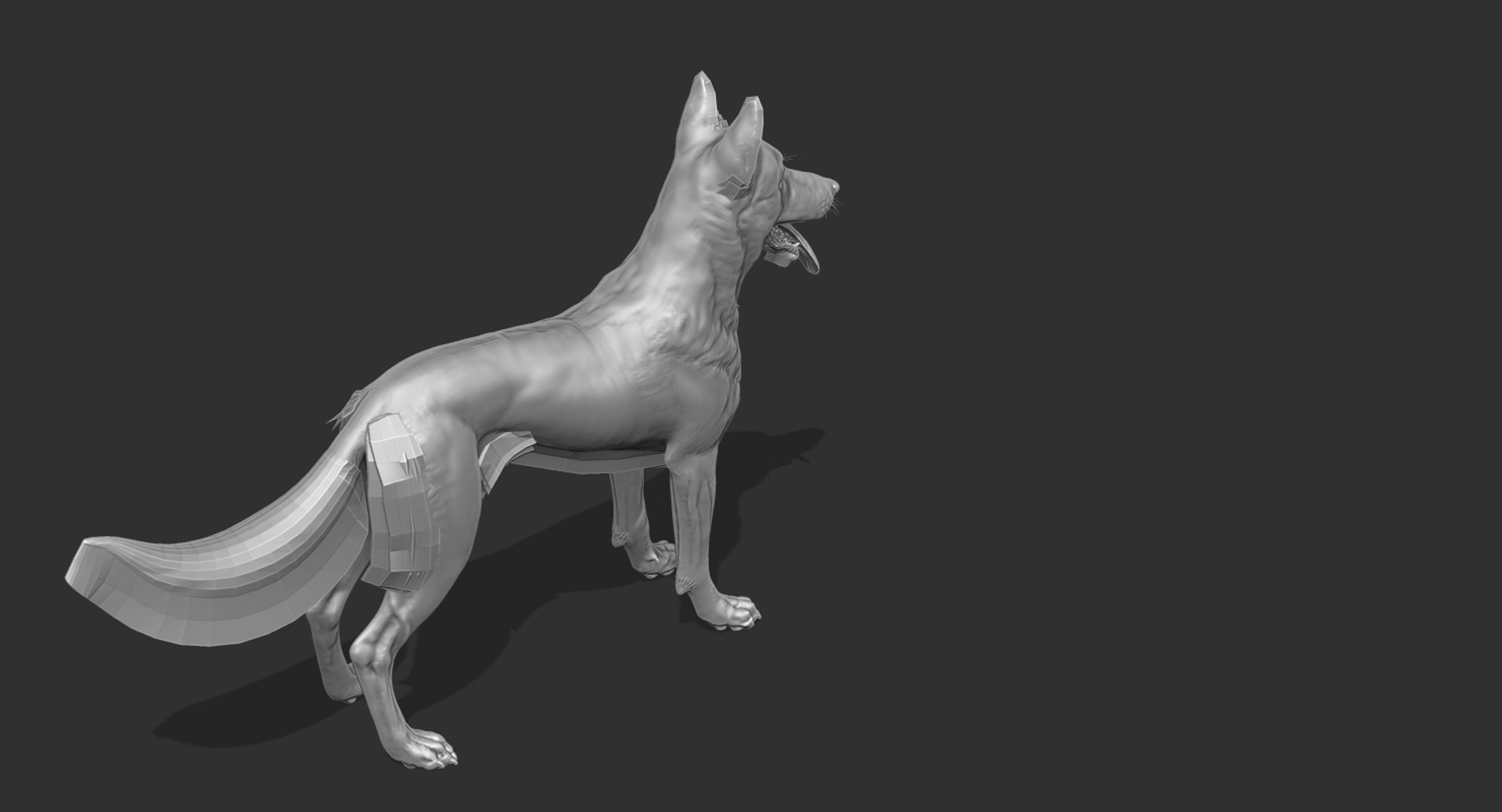 belgian shepherd dog black 3d max https://p.turbosquid.com/ts-thumb/zc/j8KJ9W/6vPC5rvU/zed4/jpg/1443915319/1920x1080/fit_q87/a24cee4d4c7ea75d2691d949296da20f96bfc895/zed4.jpg