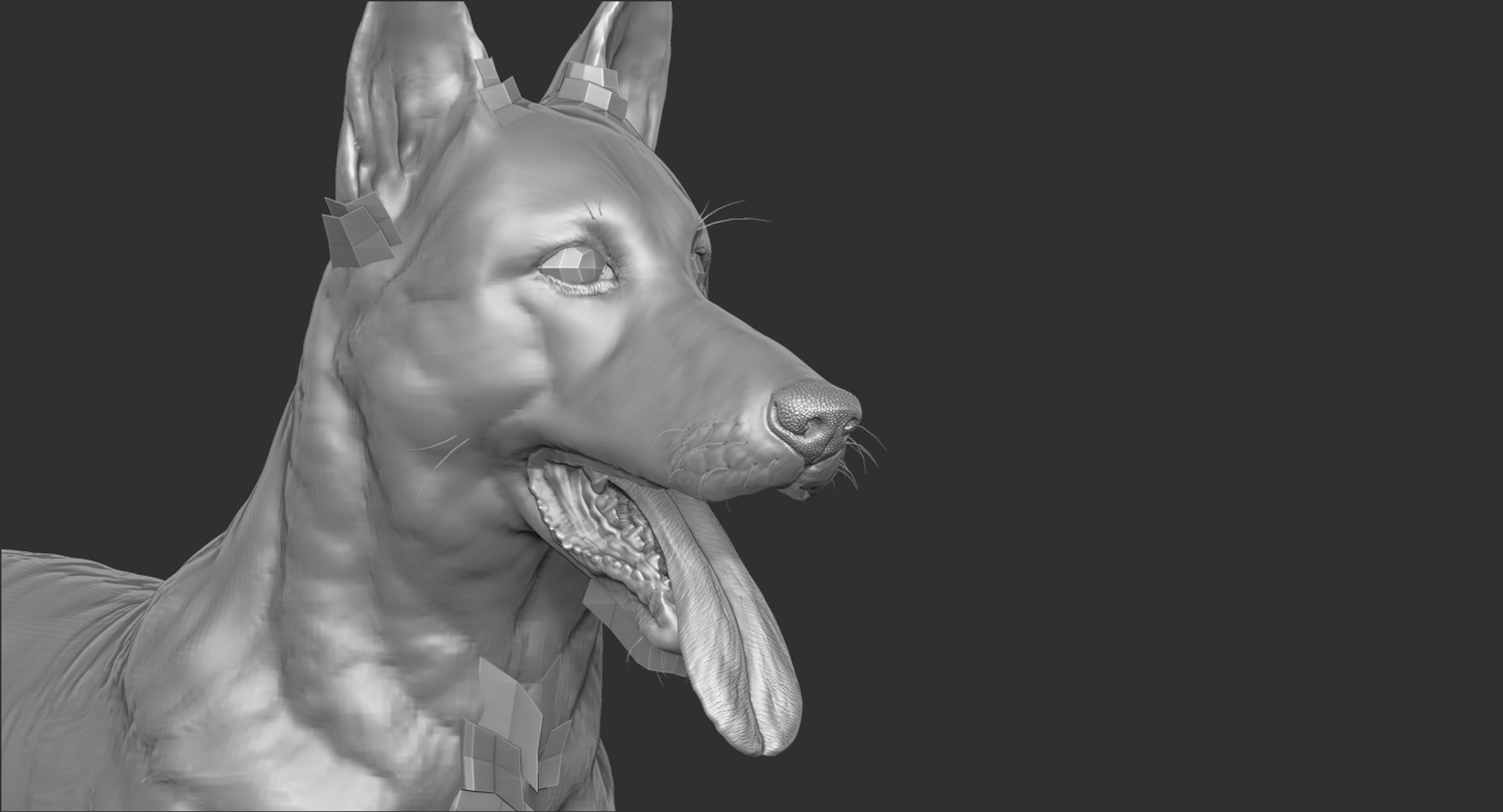 belgian shepherd dog black 3d max https://p.turbosquid.com/ts-thumb/zc/j8KJ9W/RIXP8BPd/zed5/jpg/1443915319/1920x1080/fit_q87/74a6f128a54b32d9c902d866e1767399906bf722/zed5.jpg