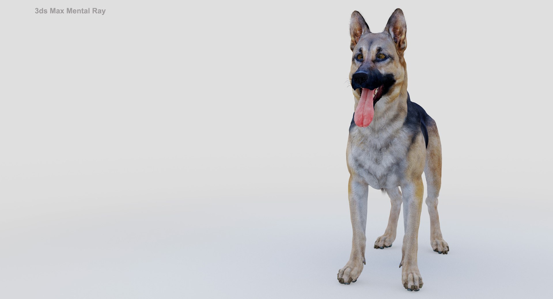 belgian shepherd dog black 3d max https://p.turbosquid.com/ts-thumb/zc/j8KJ9W/RjIy6dUR/maxmr3/jpg/1443577996/1920x1080/fit_q87/60d19d847ba4fabdf9ade59737f9352c426ce936/maxmr3.jpg